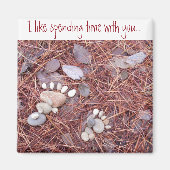 Große und kleine Auftriebsmagnete Magnet (Vorne)