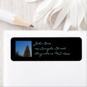 Große und kleine Weihnachtsbäume I Holiday Sunset (Insitu)