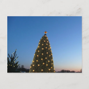 Große und kleine Weihnachtsbäume I Holiday Sunset Feiertagspostkarte