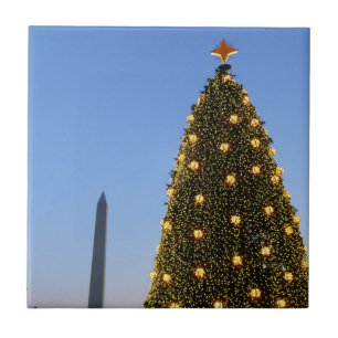 Große und kleine Weihnachtsbäume II Urlaub in DC Fliese