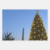 Große und kleine Weihnachtsbäume II Urlaub in DC Geschenkpapier Set (Vorderseite)