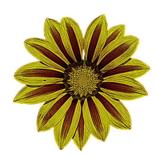 große und kühn gelbe Blumen mit roten Streifen dai Duschvorhang