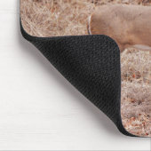 Große und schöne Hirschbock-Geweihe im Winter Mousepad (Ecke)