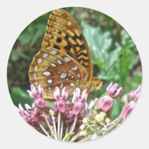 Große verschüttete Fritillenkoordinierungselemente Runder Aufkleber