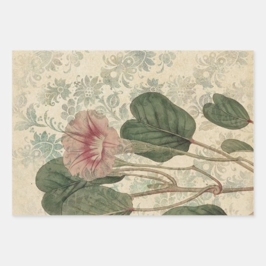 Große Vintage Rosa Blume Geschenkpapier Set (Vorderseite)