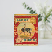 Große Vögel Postkarte (Stehend Vorderseite)
