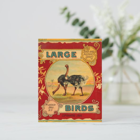 Große Vögel Postkarte (Stehend Vorderseite)