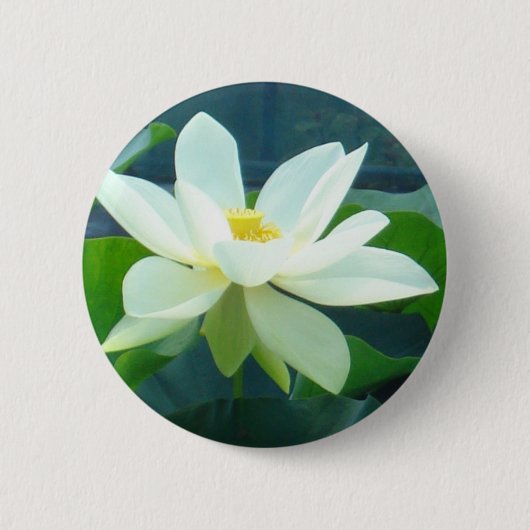 große weiße Lilie Button (Vorderseite)