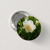 Große weiße Narzissen an einem Frühlingstag Button (Vorne & Hinten)