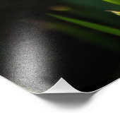 Große weiße Narzissen an einem Frühlingstag Fotodruck (Ecke)