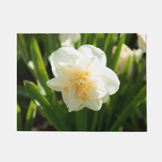 Große weiße Narzissen an einem Frühlingstag Fußmatte (Vorderseite)