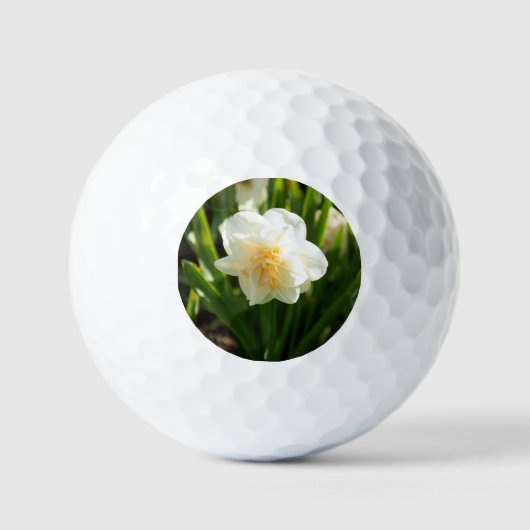 Große weiße Narzissen an einem Frühlingstag Golfball (Vorderseite)