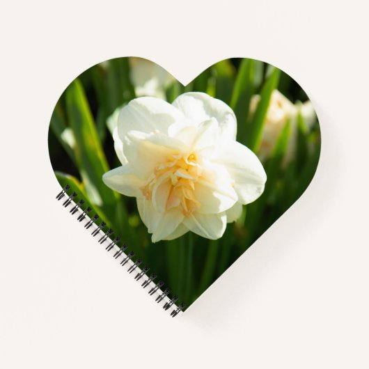 Große weiße Narzissen an einem Frühlingstag Notizblock (Vorderseite)