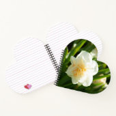 Große weiße Narzissen an einem Frühlingstag Notizblock (Innenseite)