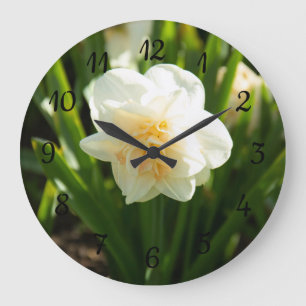 Große weiße Narzissen an einem Frühlingstag Wanduhr