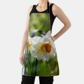 Große weiße Narzissen an einer Frühlingstag-Schürz Schürze (InSitu)