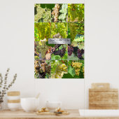 Große weiße Weinsorten der Welt Poster (Küche)