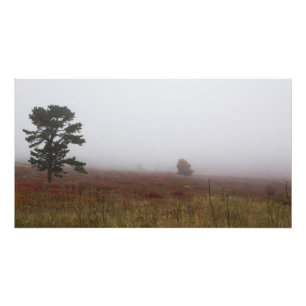 Große Wiesen im Herbst, Virginia Fotodruck