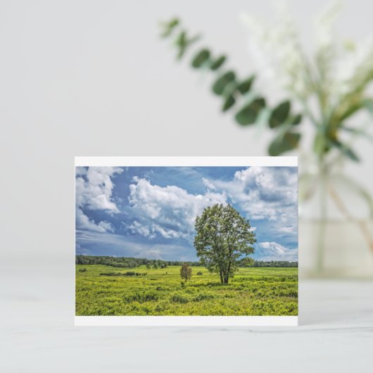 Große Wiesen Postkarte (Stehend Vorderseite)