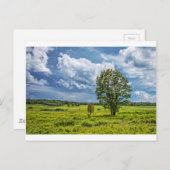 Große Wiesen Postkarte (Vorne/Hinten)