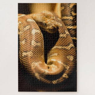 Große Wildschlange Puzzle