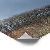 Große Wolke über Refugium Poster (Ecke)