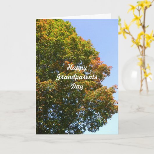 Großeltern Ahornbaum im Herbst Karte (Gelbe Blume)