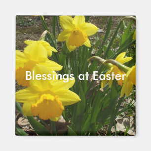 Großeltern-Daffodil-Segen für Ostermagnet Magnet