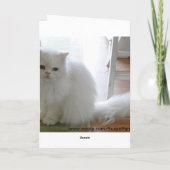Großelterntag, weiße Katze Karte (Rückseite)