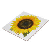 Größen der Sonnenblume-Fliese (2) Fliese (Seite)