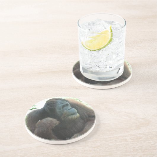 Großer Affen-Untersetzer Sandstein Untersetzer (Seite)