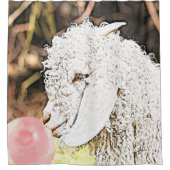 Größer als das Baby Angora Ziege mit Bubblegum Duschvorhang (Vorderseite)