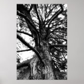 größer als du denkst poster (Vorne)