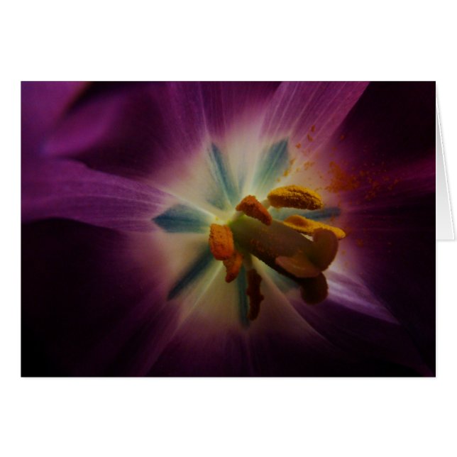 Größer als ich (Vorderseite (Horizontal))