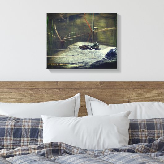 Großer alter Bullfrog auf Felslandschaft Leinwanddruck (Insitu (Schlafzimmer))