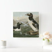 Großer Auk - John James Audubons Vögel Amerikas Quadratische Wanduhr (Zuhause)