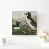 Großer Auk - John James Audubons Vögel Amerikas Quadratische Wanduhr (Zuhause)