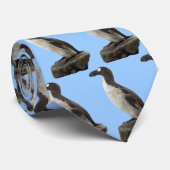 Großer Auk-Krawatte Krawatte (Gerollt)