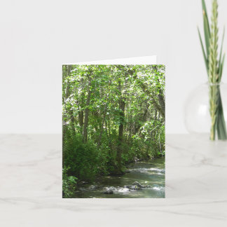 Grosser Bach im Sommer.................. Karte