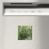 Grosser Bach in der Sommerzeit...... Magnet (In Situ (Geschirrspüler))