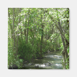Grosser Bach in der Sommerzeit...... Magnet