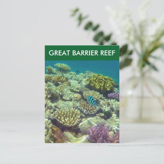 großer Barfisch Postkarte (Stehend Vorderseite)