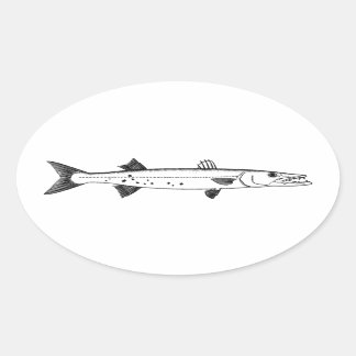 Großer Barracuda-Logo Ovaler Aufkleber
