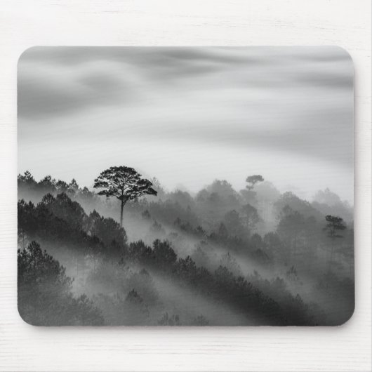 Großer Baum im Kiefern-Wald im Nebel Mousepad (Vorne)