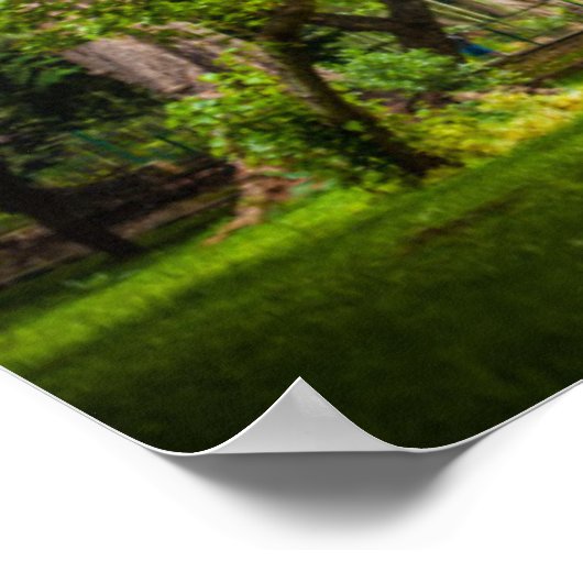 Grosser Baum im Park Poster (Ecke)