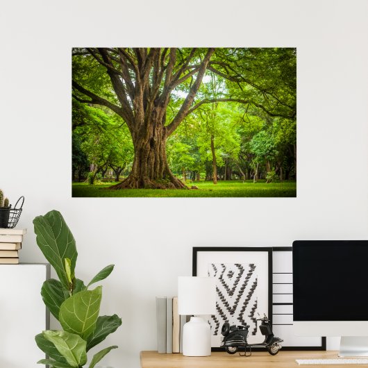 Grosser Baum im Park Poster (Heimbüro)