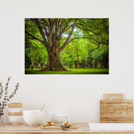 Grosser Baum im Park Poster (Küche)