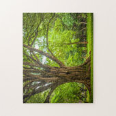Großer Baum im Park Puzzle (Vertikal)