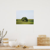 Großer Baum in einem Feld mit ländlichem Hintergru Poster (Küche)