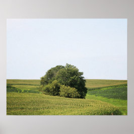 Großer Baum in einem Feld mit ländlichem Hintergru Poster